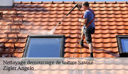 Nettoyage demoussage de toiture 73 Savoie  Zigler Angelo