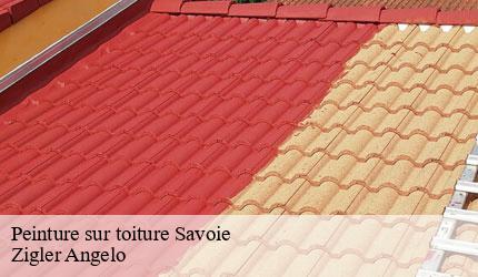 Peinture sur toiture 73 Savoie  Zigler Angelo