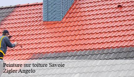 Peinture sur toiture 73 Savoie  Zigler Angelo