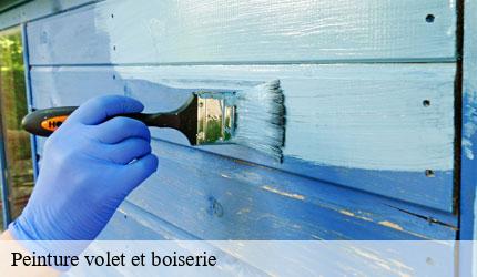 Peinture volet et boiserie 73 Savoie  Zigler Angelo