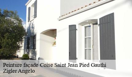 Peinture façade  coise-saint-jean-pied-gauthi-73800 Zigler Angelo