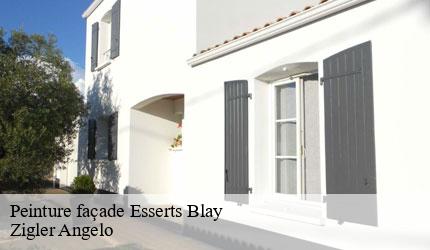 Peinture façade  esserts-blay-73540 Zigler Angelo