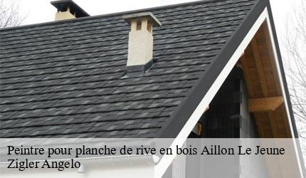 Peintre pour planche de rive en bois  aillon-le-jeune-73340 Zigler Angelo