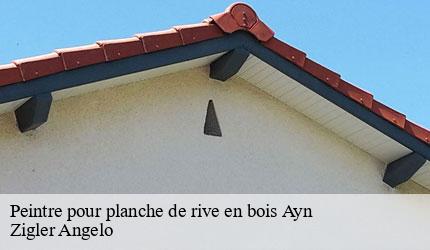 Peintre pour planche de rive en bois  ayn-73470 Zigler Angelo