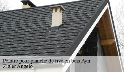 Peintre pour planche de rive en bois  ayn-73470 Zigler Angelo