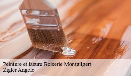 Peinture et lasure Boiserie  montgilgert-73220 Zigler Angelo