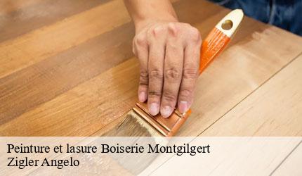 Peinture et lasure Boiserie  montgilgert-73220 Zigler Angelo