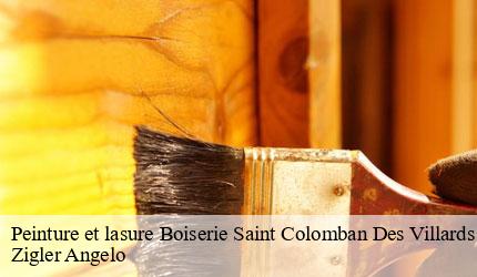 Peinture et lasure Boiserie  saint-colomban-des-villards-73130 Zigler Angelo