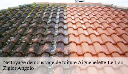 Nettoyage demoussage de toiture  aiguebelette-le-lac-73610 Zigler Angelo