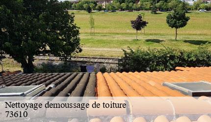 Nettoyage demoussage de toiture  aiguebelette-le-lac-73610 Zigler Angelo