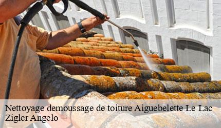 Nettoyage demoussage de toiture  aiguebelette-le-lac-73610 Zigler Angelo