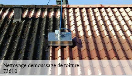 Nettoyage demoussage de toiture  aiguebelette-le-lac-73610 Zigler Angelo