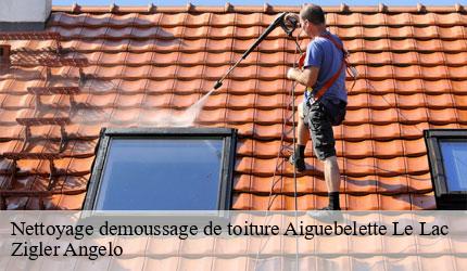 Nettoyage demoussage de toiture  aiguebelette-le-lac-73610 Zigler Angelo