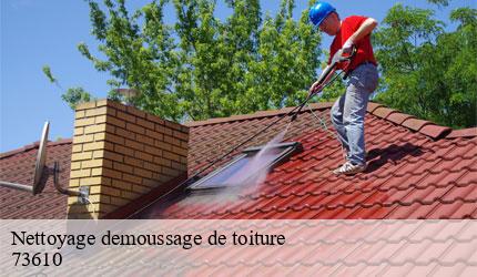 Nettoyage demoussage de toiture  aiguebelette-le-lac-73610 Zigler Angelo