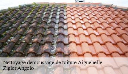 Nettoyage demoussage de toiture  aiguebelle-73220 Zigler Angelo