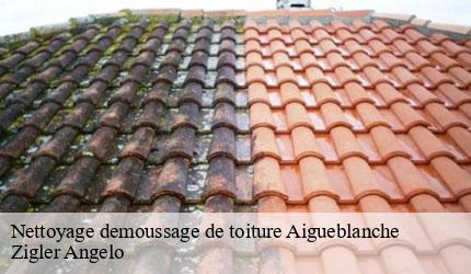 Nettoyage demoussage de toiture  aigueblanche-73260 Zigler Angelo