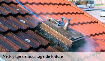 Nettoyage demoussage de toiture  aillon-le-jeune-73340 Zigler Angelo