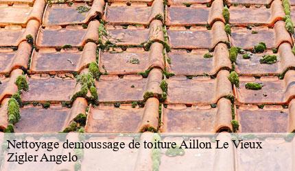 Nettoyage demoussage de toiture  aillon-le-vieux-73340 Zigler Angelo