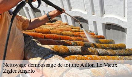 Nettoyage demoussage de toiture  aillon-le-vieux-73340 Zigler Angelo