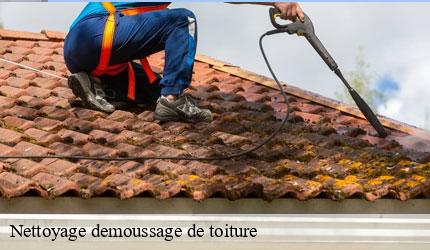 Nettoyage demoussage de toiture  aillon-le-vieux-73340 Zigler Angelo