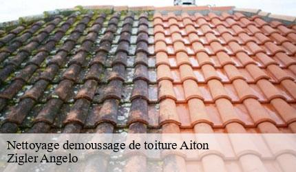 Nettoyage demoussage de toiture  aiton-73220 Zigler Angelo