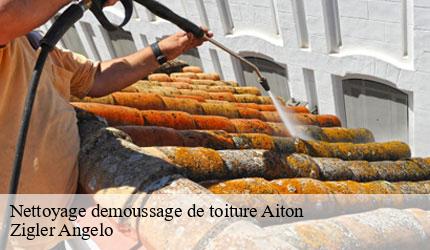 Nettoyage demoussage de toiture  aiton-73220 Zigler Angelo