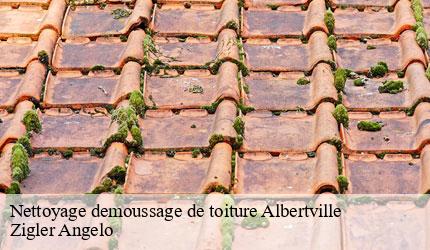 Nettoyage demoussage de toiture  albertville-73200 Zigler Angelo