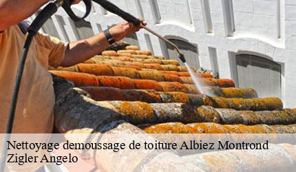 Nettoyage demoussage de toiture  albiez-montrond-73300 Zigler Angelo