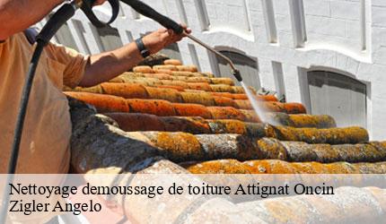 Nettoyage demoussage de toiture  attignat-oncin-73610 Zigler Angelo