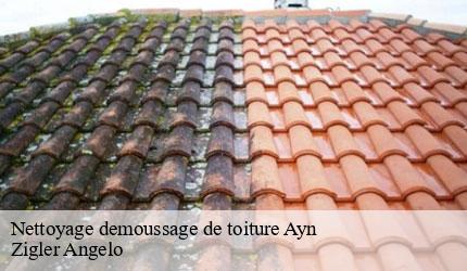 Nettoyage demoussage de toiture  ayn-73470 Zigler Angelo