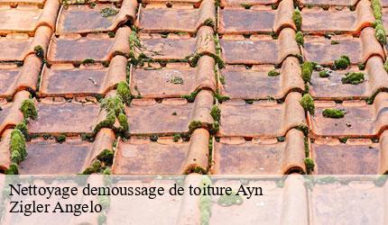 Nettoyage demoussage de toiture  ayn-73470 Zigler Angelo