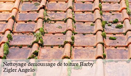 Nettoyage demoussage de toiture  barby-73230 Zigler Angelo