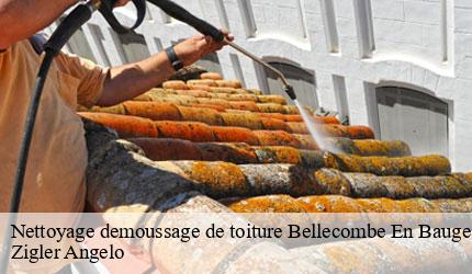 Nettoyage demoussage de toiture  bellecombe-en-bauges-73340 Zigler Angelo