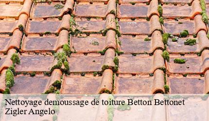 Nettoyage demoussage de toiture  betton-bettonet-73390 Zigler Angelo