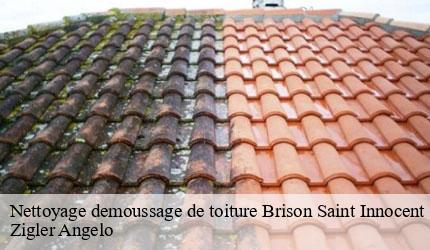 Nettoyage demoussage de toiture  brison-saint-innocent-73100 Zigler Angelo