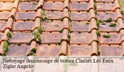 Nettoyage demoussage de toiture  challes-les-eaux-73190 Zigler Angelo