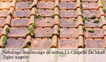 Nettoyage demoussage de toiture  la-chapelle-du-mont-du-ch-73370 Zigler Angelo