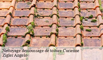 Nettoyage demoussage de toiture  curienne-73190 Zigler Angelo