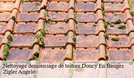 Nettoyage demoussage de toiture  doucy-en-bauges-73630 Zigler Angelo