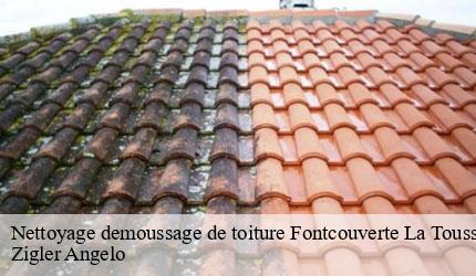 Nettoyage demoussage de toiture  fontcouverte-la-toussuire-73300 Zigler Angelo