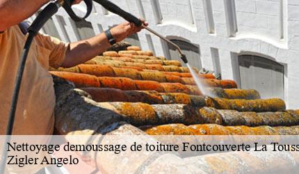 Nettoyage demoussage de toiture  fontcouverte-la-toussuire-73300 Zigler Angelo