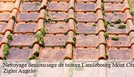 Nettoyage demoussage de toiture  lanslebourg-mont-cenis-73480 Zigler Angelo