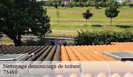 Nettoyage demoussage de toiture  lanslebourg-mont-cenis-73480 Zigler Angelo