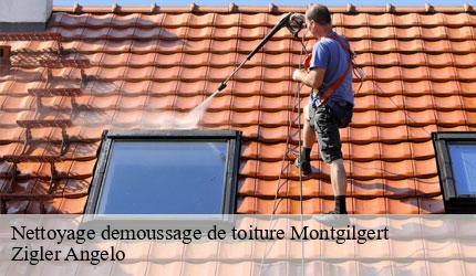 Nettoyage demoussage de toiture  montgilgert-73220 Zigler Angelo