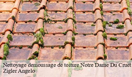 Nettoyage demoussage de toiture  notre-dame-du-cruet-73130 Zigler Angelo