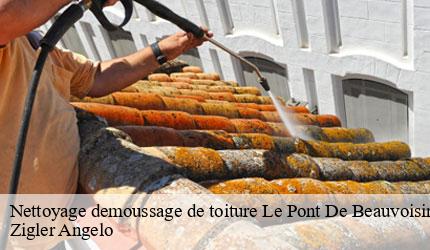 Nettoyage demoussage de toiture  le-pont-de-beauvoisin-73330 Zigler Angelo