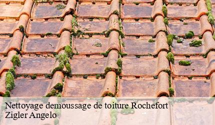 Nettoyage demoussage de toiture  rochefort-73240 Zigler Angelo