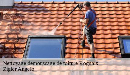 Nettoyage demoussage de toiture  rognaix-73730 Zigler Angelo