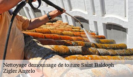 Nettoyage demoussage de toiture  saint-baldoph-73190 Zigler Angelo