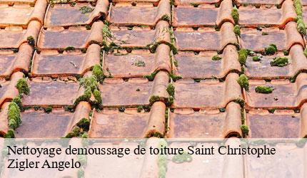 Nettoyage demoussage de toiture  saint-christophe-73360 Zigler Angelo